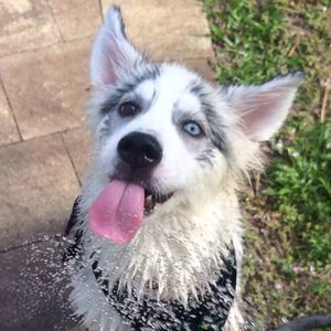 Meet your Posher, Kizzy